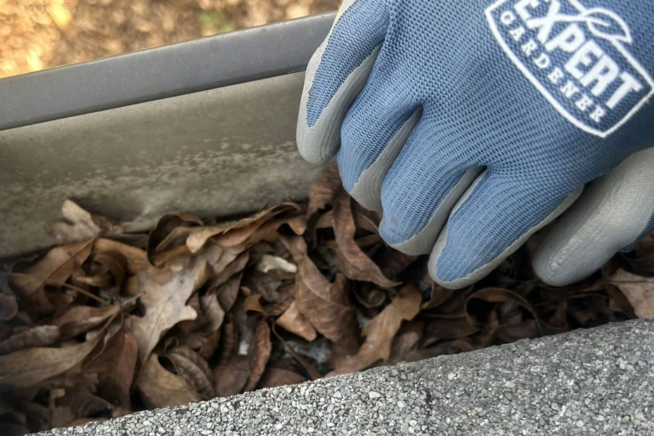 Gutter Cleaning Auburn