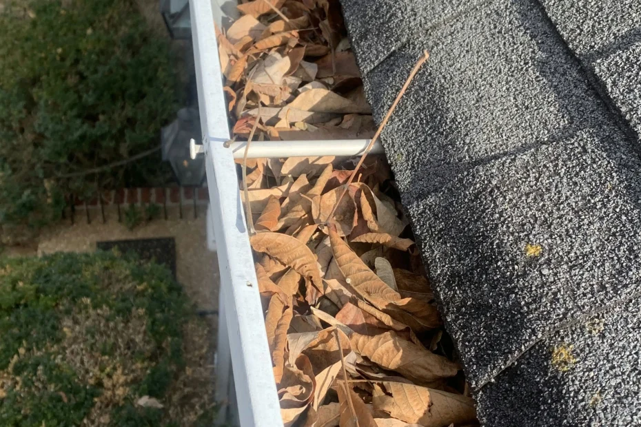 Gutter Cleaning Auburn