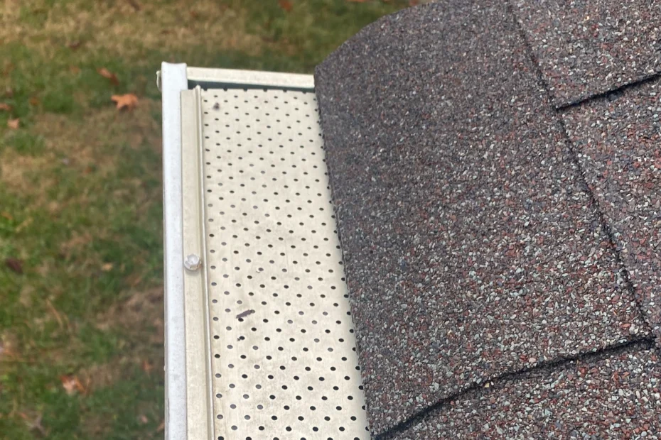 Gutter Cleaning Auburn