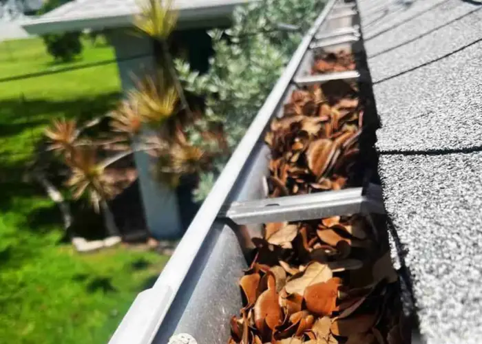 Gutter Cleaning Auburn home page